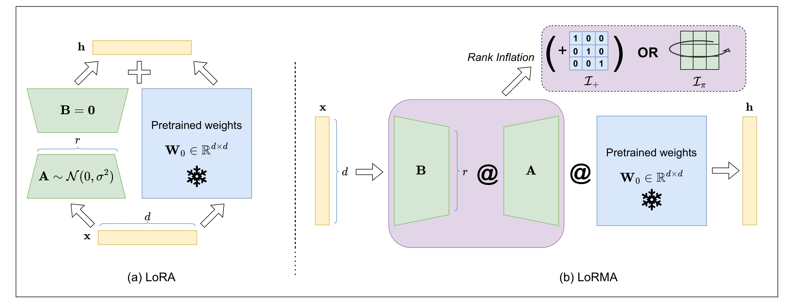 LoRMA architecture compared with LoRA.