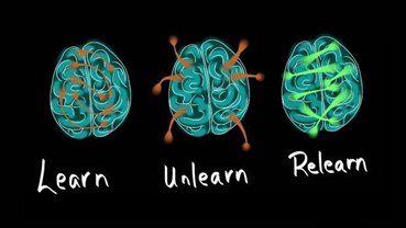Image for Machine Unlearning